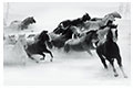 核心價(jià)值觀(guān)