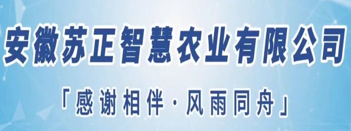 守望初心勇?lián)?dāng)，篤定前行綻芳華